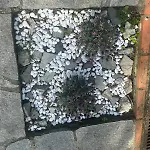 Casa Perin Дом отдыха *